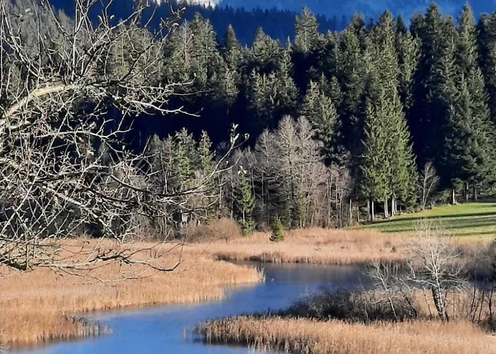 Daniel By Interhome Апартаменты